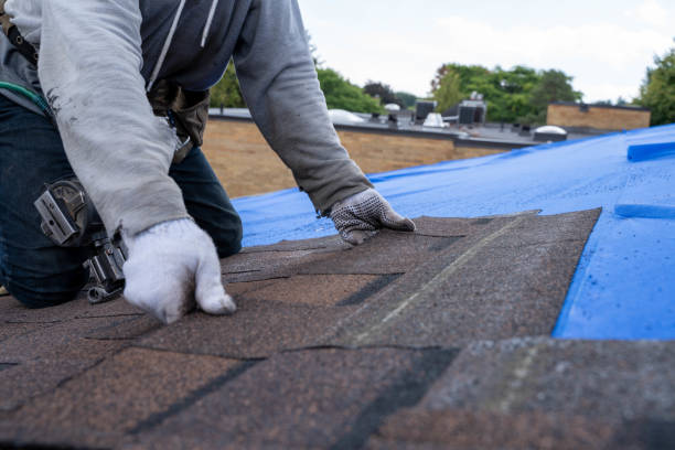 Roof Repair Estimates in The Homesteads, TX