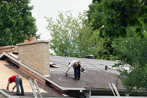 Best Roof Maintenance Services  in The Homesteads, TX