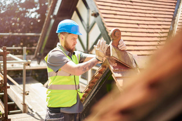 Professional Roofing Contractor in The Homesteads, TX