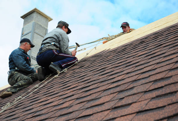 Gutter Installation and Roofing in The Homesteads, TX